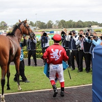 VOLKSTOK'N'BARREL RESUMES AT WAIKATO IN THE $200K GROUP 1 NRM SPRINT OVER 1400M ON SATURDAY 13TH FEBRUARY